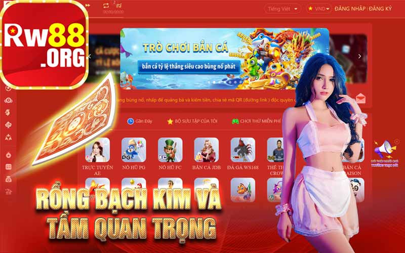 Rồng bạch kim và tầm quan trọng